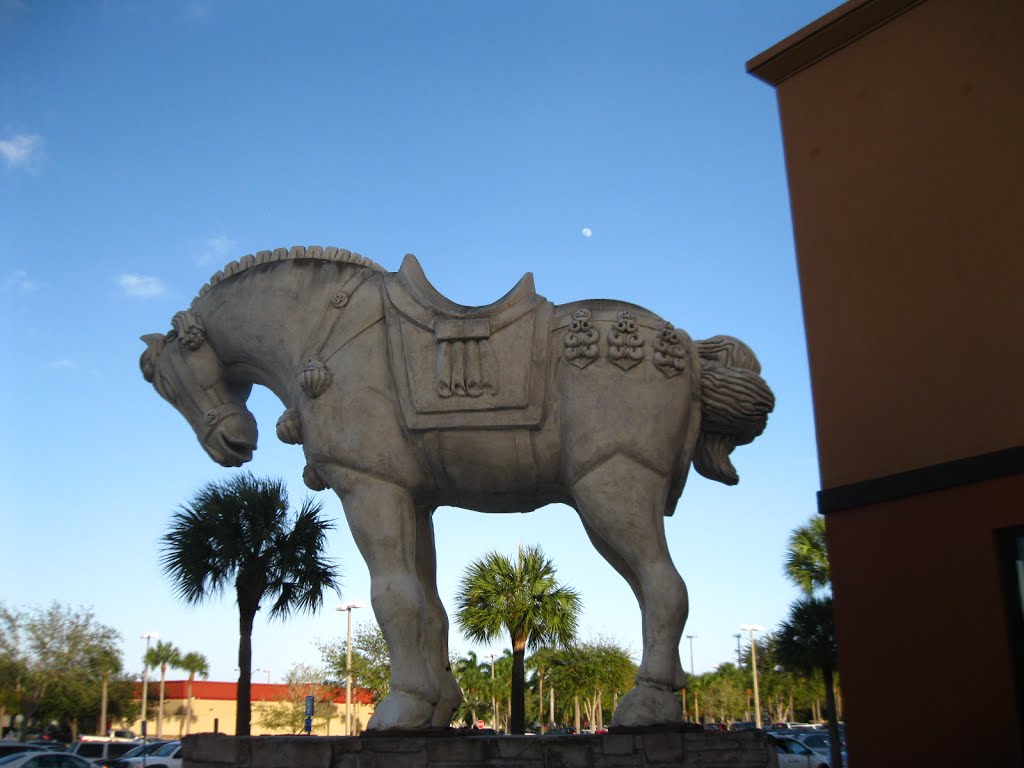 American Horse, The Falls, Miami. by Ivan Curra