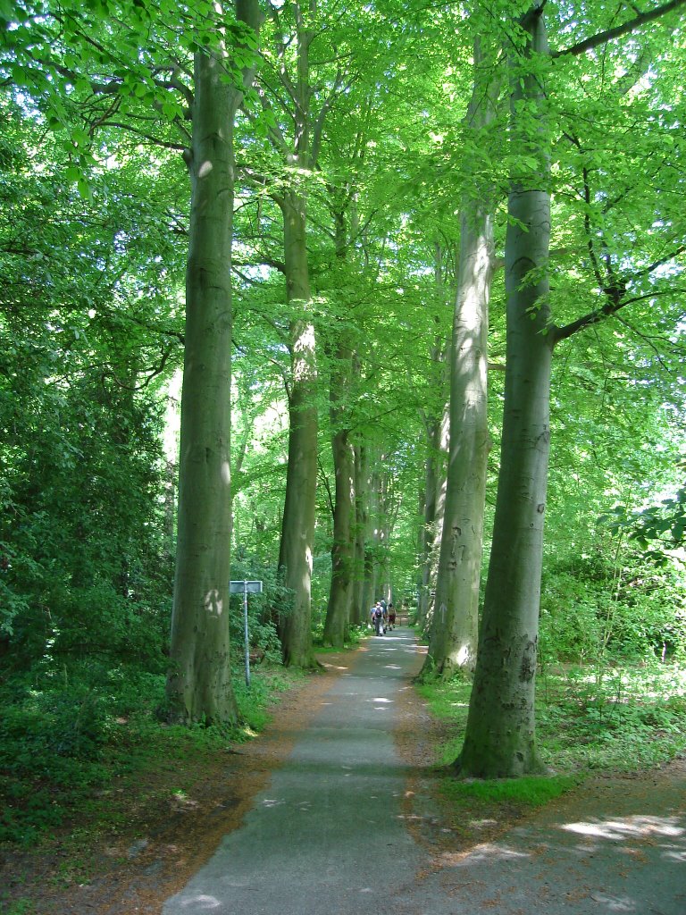 Wassenaar, Netherlands by PanoramioPieter@live…