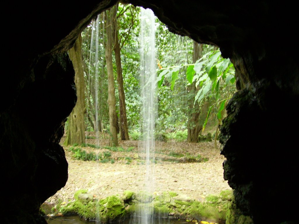 Gruta en los jardines de Lourizán (Pontevedra) by Joaquín Vilas