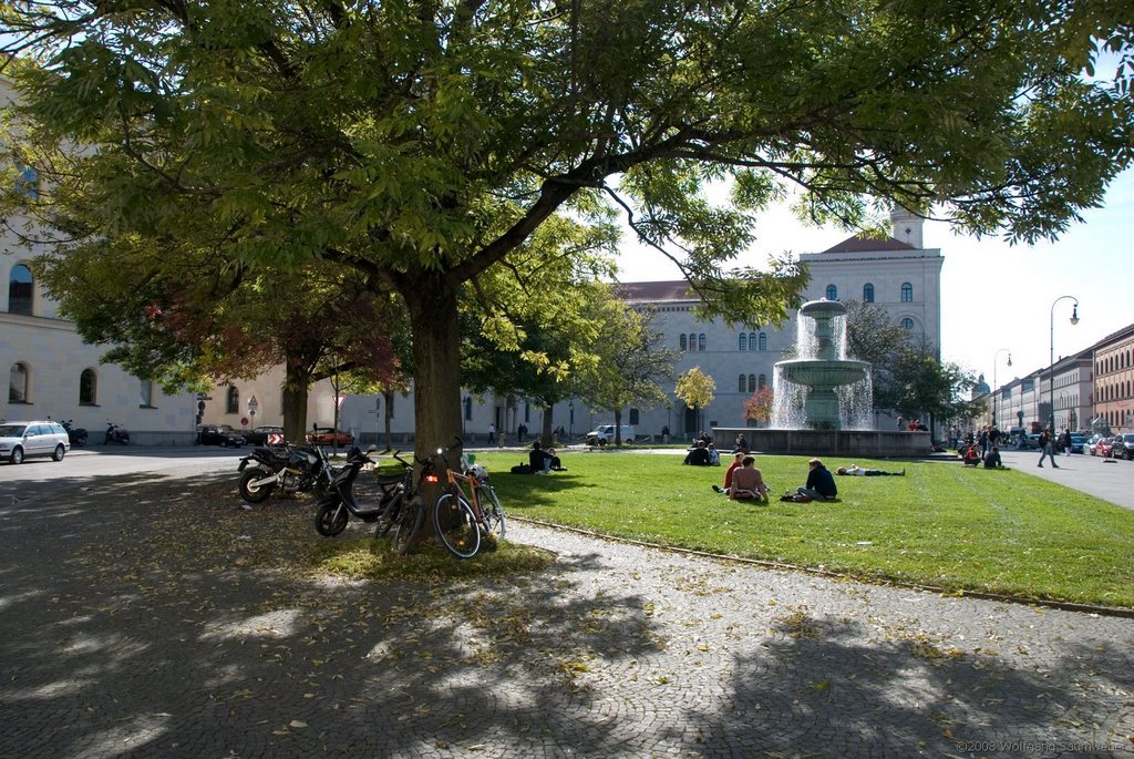 Munich University by Wolfgang Saumweber