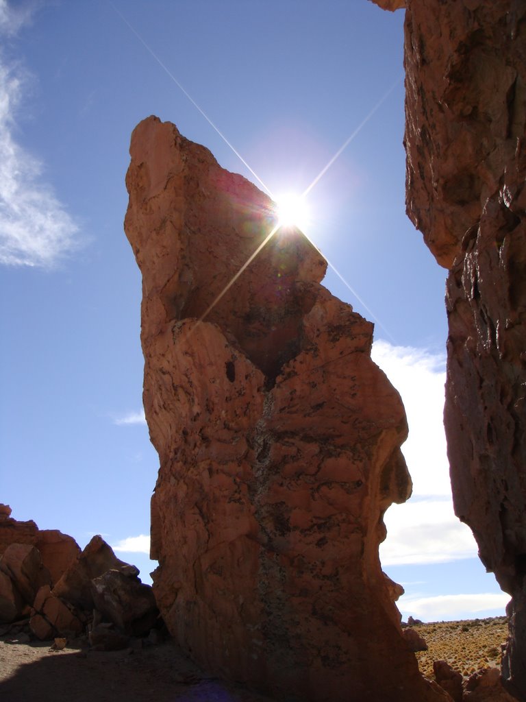 Bolivia - Uyuni by tomaholic