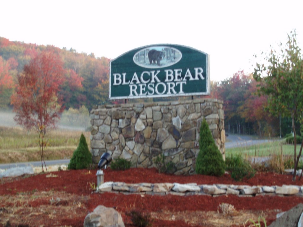 Welcome To Black Bear by SPower