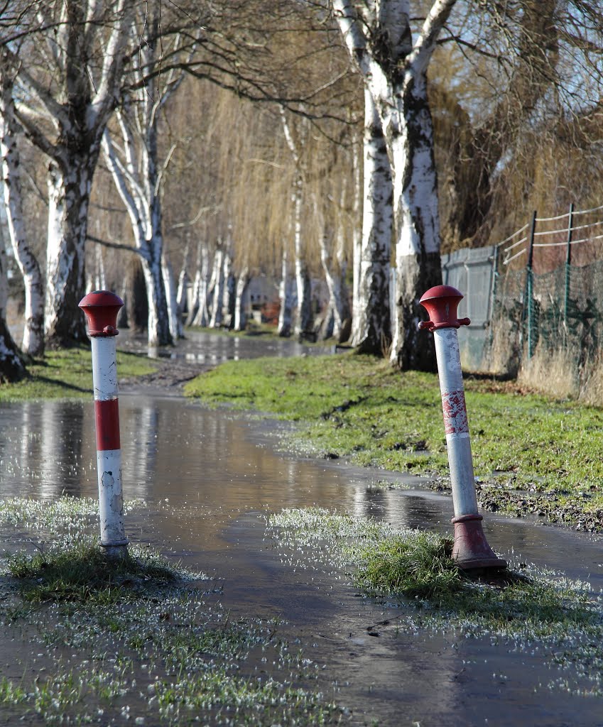 Peene - Hochwasser (Loitz) by Sven Segler