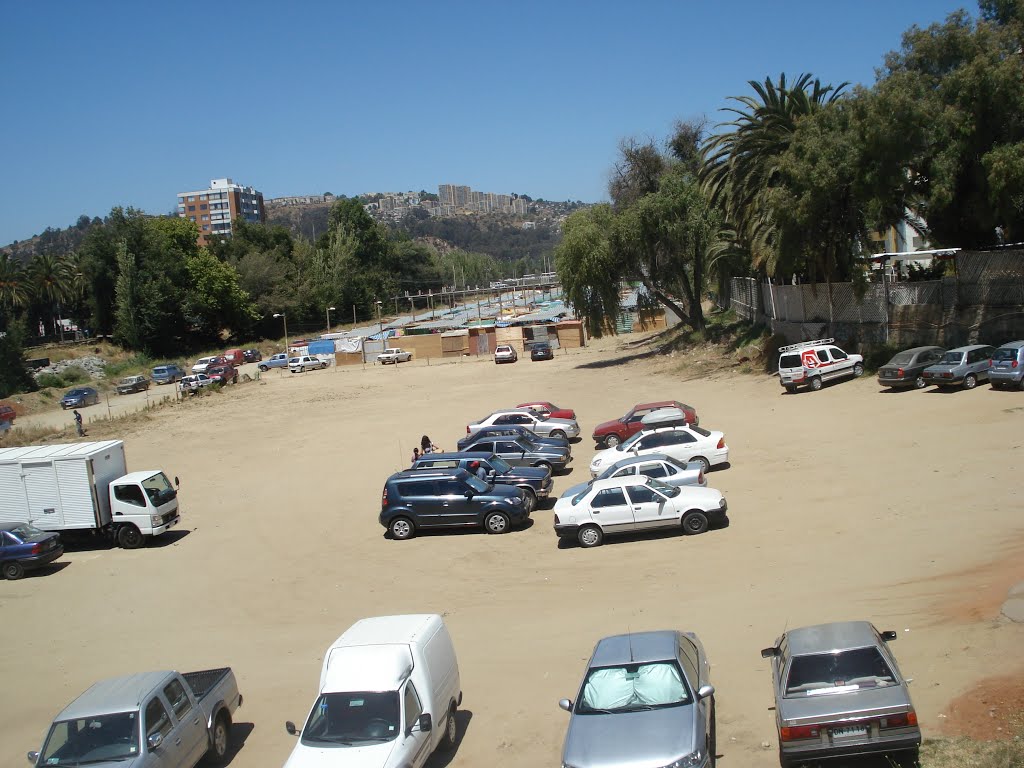 A feira do rio, Viña del Mar, Valparaíso Region, Chile by Dedé de Zé Luca