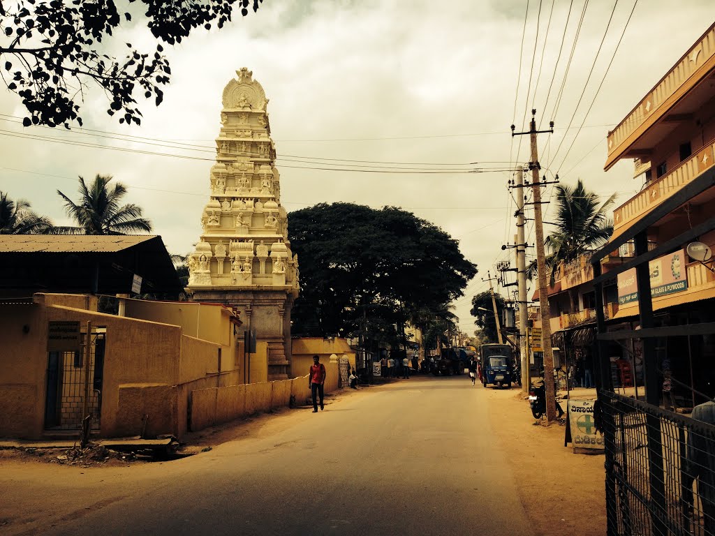 Gopura in Whitefield by David Stocker