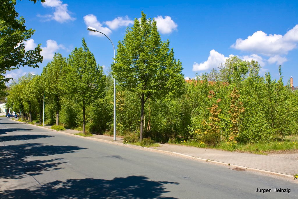 An dieser Stelle stand die Gießerei im Salzweg. Heute beglücken uns die "blühenden Landschaften". by Jürgen Heinzig