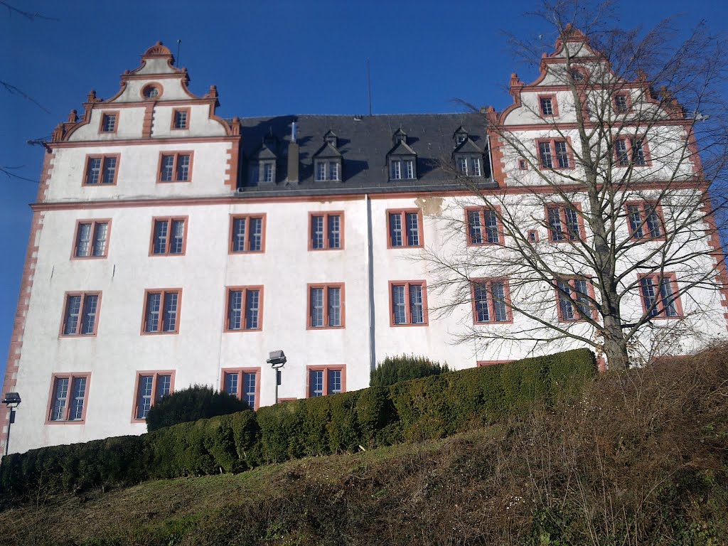 Lichtenberg Schloss by Cícero Schünemann