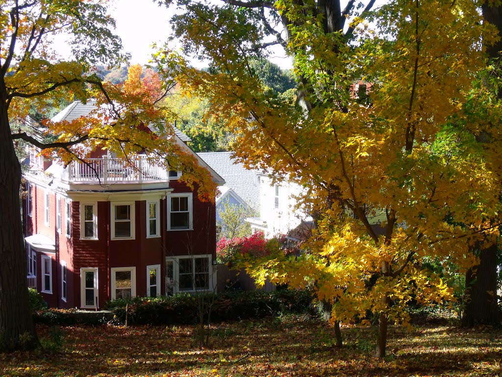 Beautiful house, beautiful coloured trees by GIProfessional