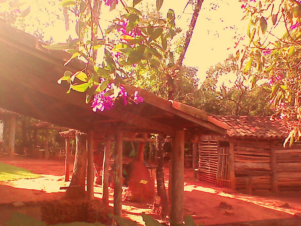 Memorial do Cerrado - Área Rural by osvaldoeaf