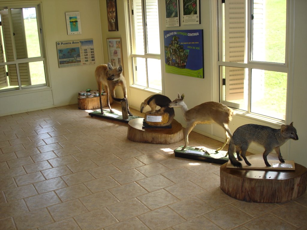 Centro de Visitantes - Parque Vassununga by Halley.Mora