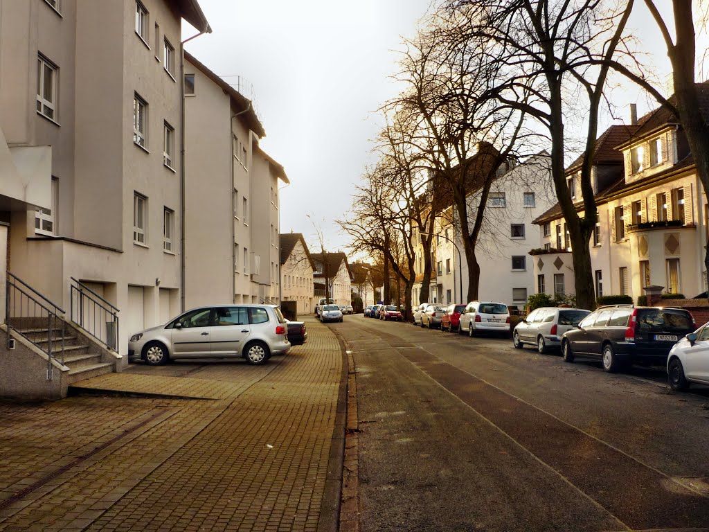 Kreisstr. (Witten-Annen) / 5.01.2014 by Iceman93 / NO VIEWS!!!