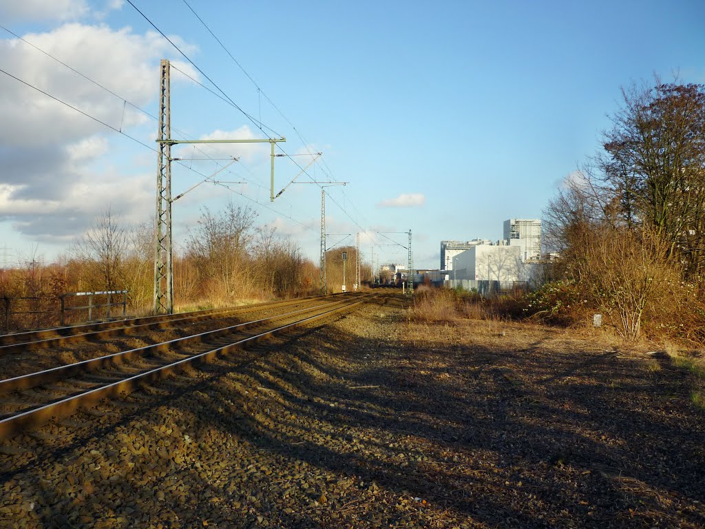 An der Bergisch-Märkischen Eisenbahnstrecke (Witten-Annen) / 5.01.2014 by Iceman93 / NO VIEWS!!!