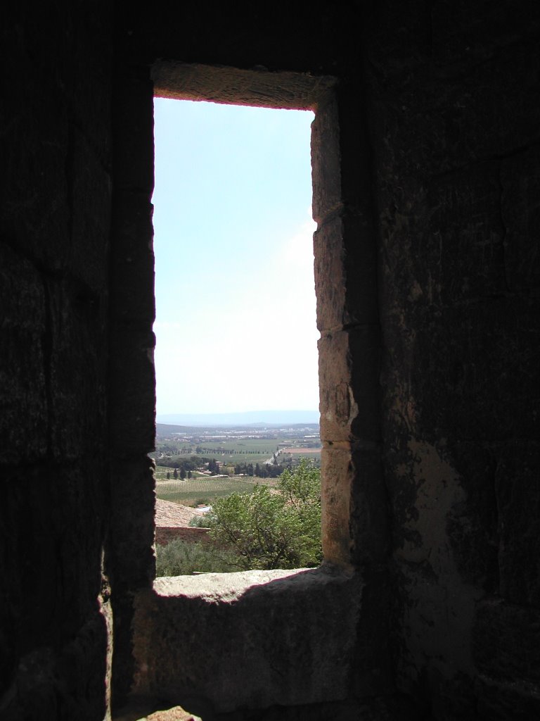 Looking out of the Châteauneuf-du-Pape by leeshaffer