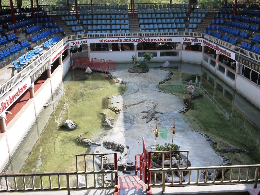 At the Crocodile Farm South of Bangkok by Sven Mueller