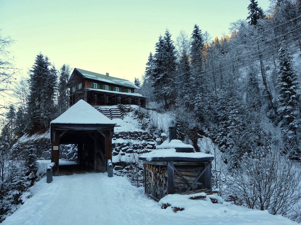 Breitachtal - Alte Brücke by Holger Schwenk