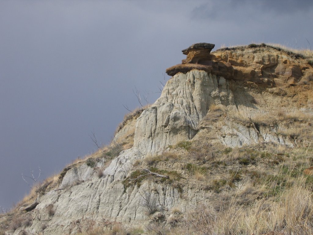 Hoodoos Capped By Red Rocks In The Badlands West Of Rumsey AB by David Cure-Hryciuk