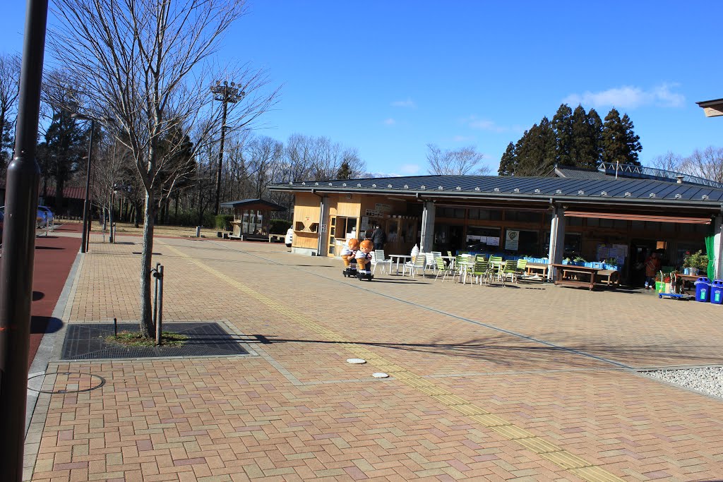 道の駅 Roadside Station by kobam123