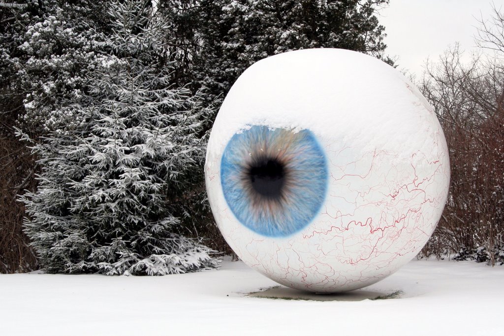 Eyeball by Ryan Calhoun