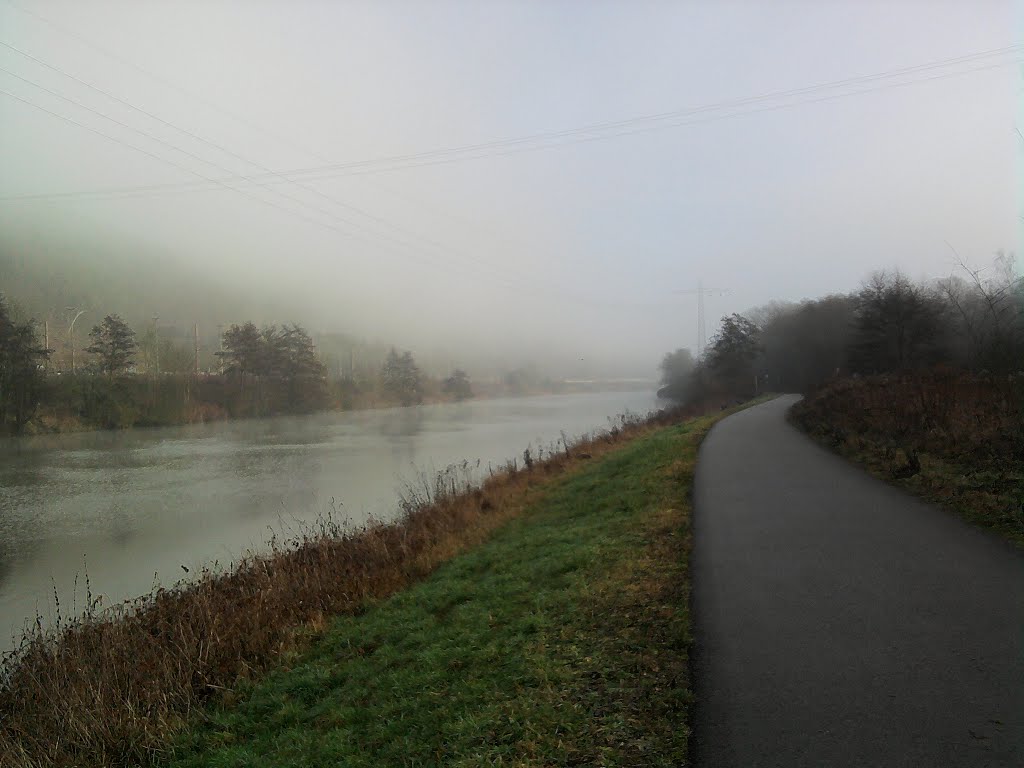 12.01.2014 Saar-Radweg bei Wadgassen by jotemm1