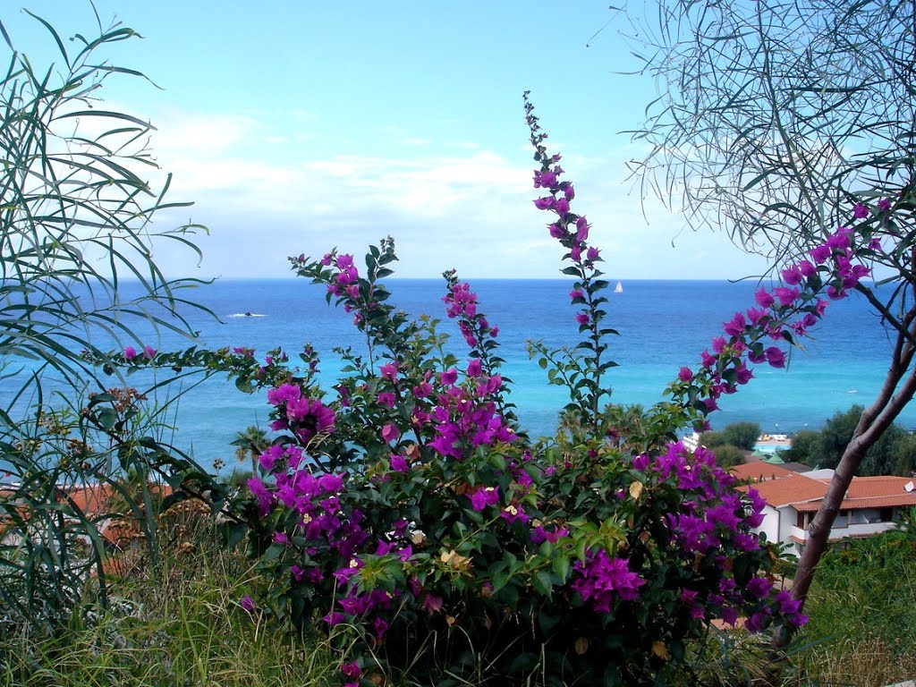 Capo Vaticano, Di Ricadi - beach Agrumeto by bobinov