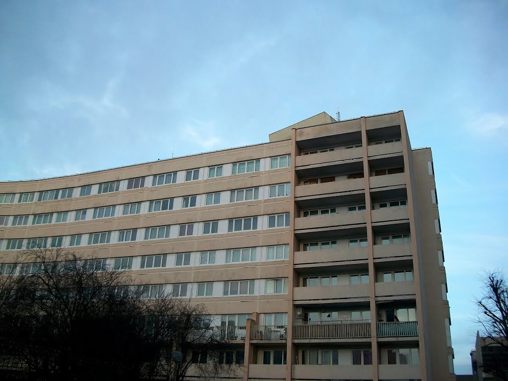 Rue Nicolas Poussin by Pogromca Gašnič