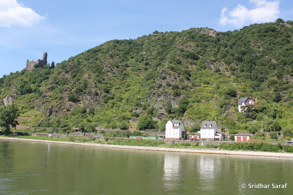 On the banks of River Rhine, Germany - July 2013 by Sridhar Saraf