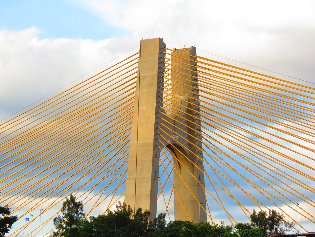 Ponte Governador Orestes Quércia ("Estaiadinha" ou "Estilinguinho") - São Paulo, SP, Brasil. by André Bonacin