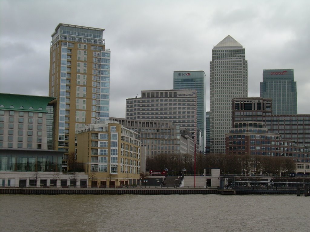 Isle of dogs by Andrea779