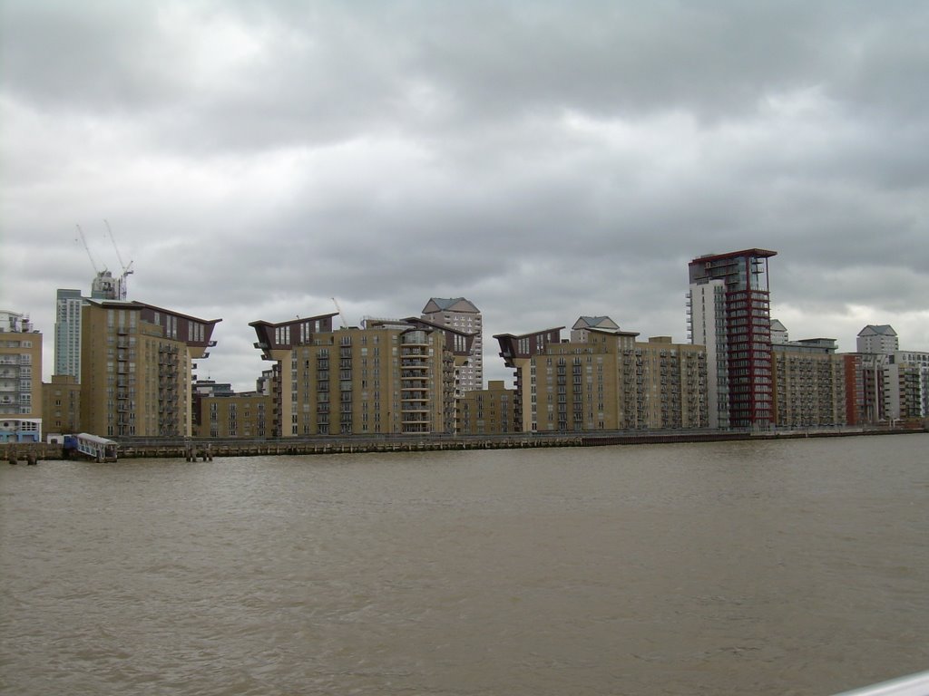 Isle of dogs by Andrea779