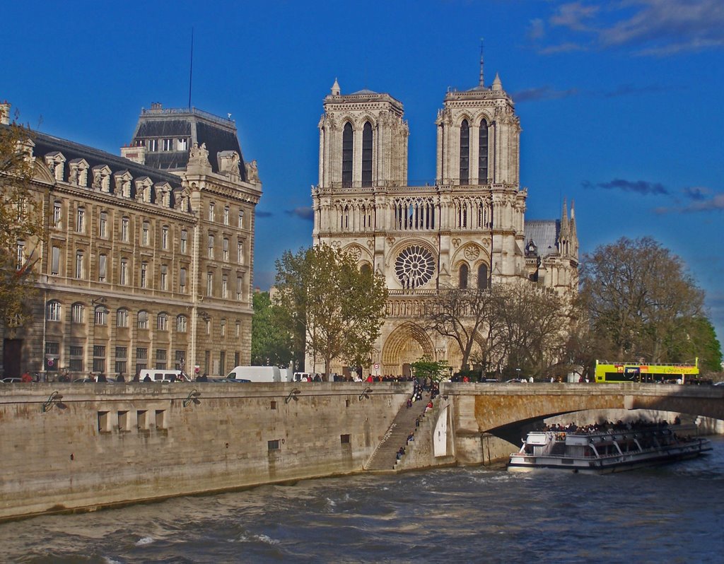 Notre dame Cathedral by Juliet Cullen