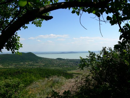 Pillantás a Balaton-felé a Tóti-hegyről by szellogabor