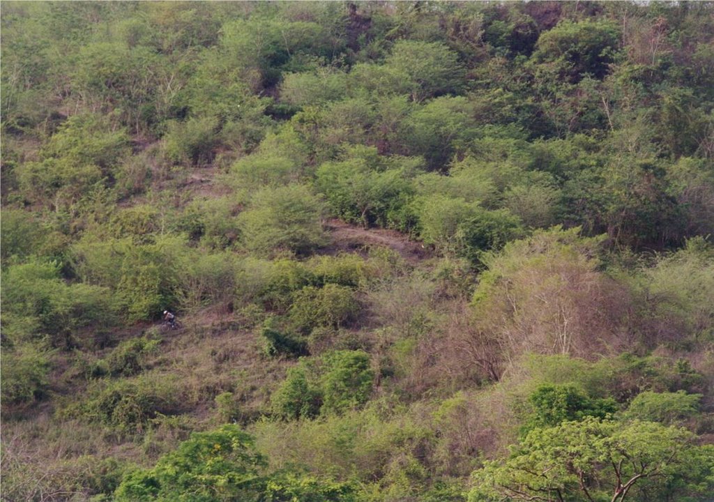 Vaso del Limón by Carlos Vázquez López