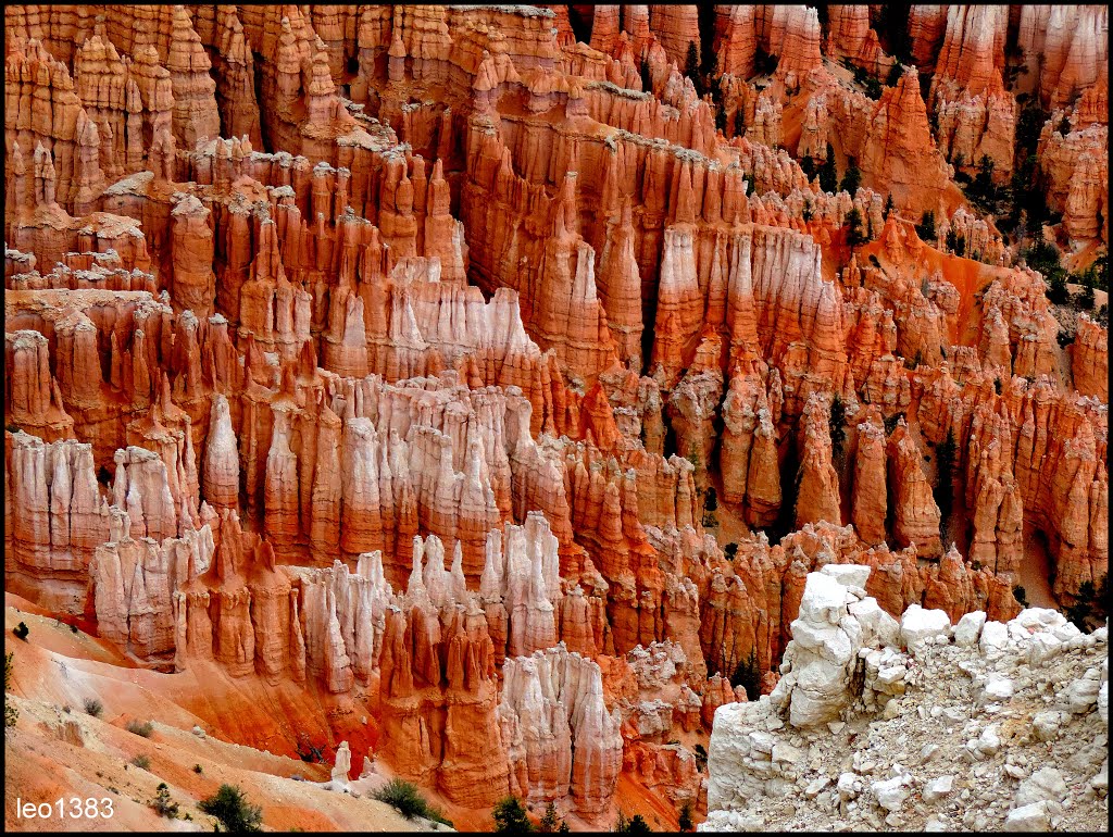 Hoodoos multicolored in Bryce Canyon.© by leo1383 by leo1383