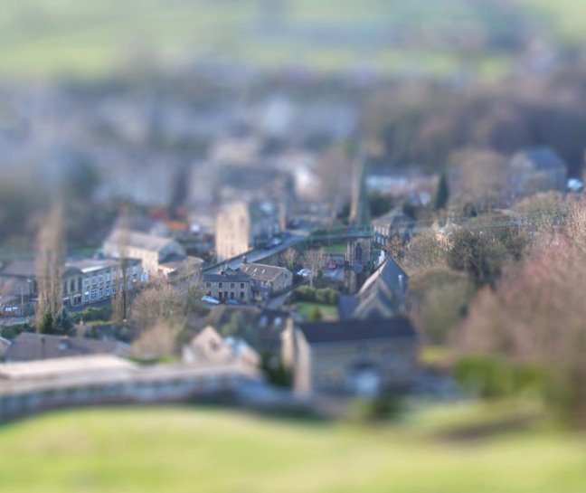 Miniature Yorkshire by eighty-three