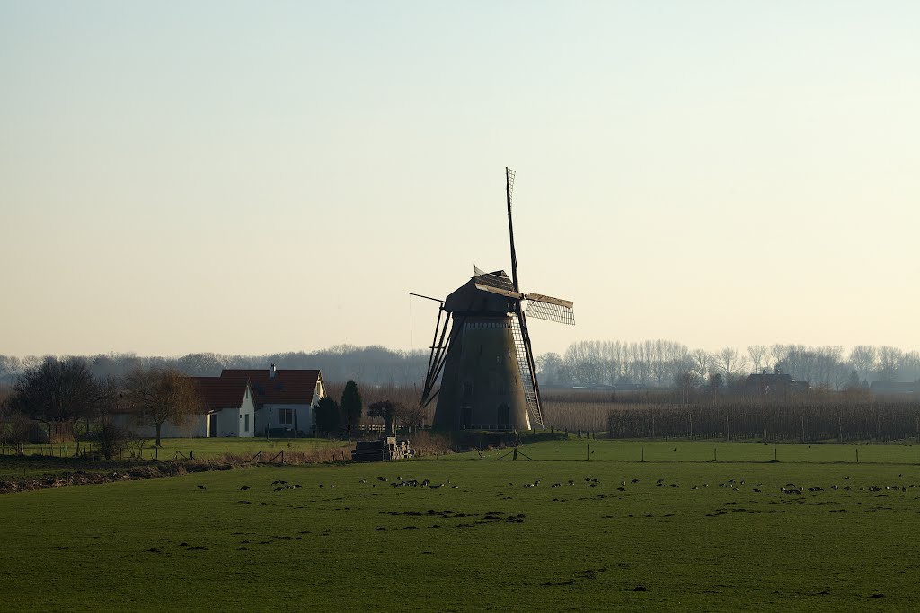 Molen de Marsch, Lienden by alexbunjes