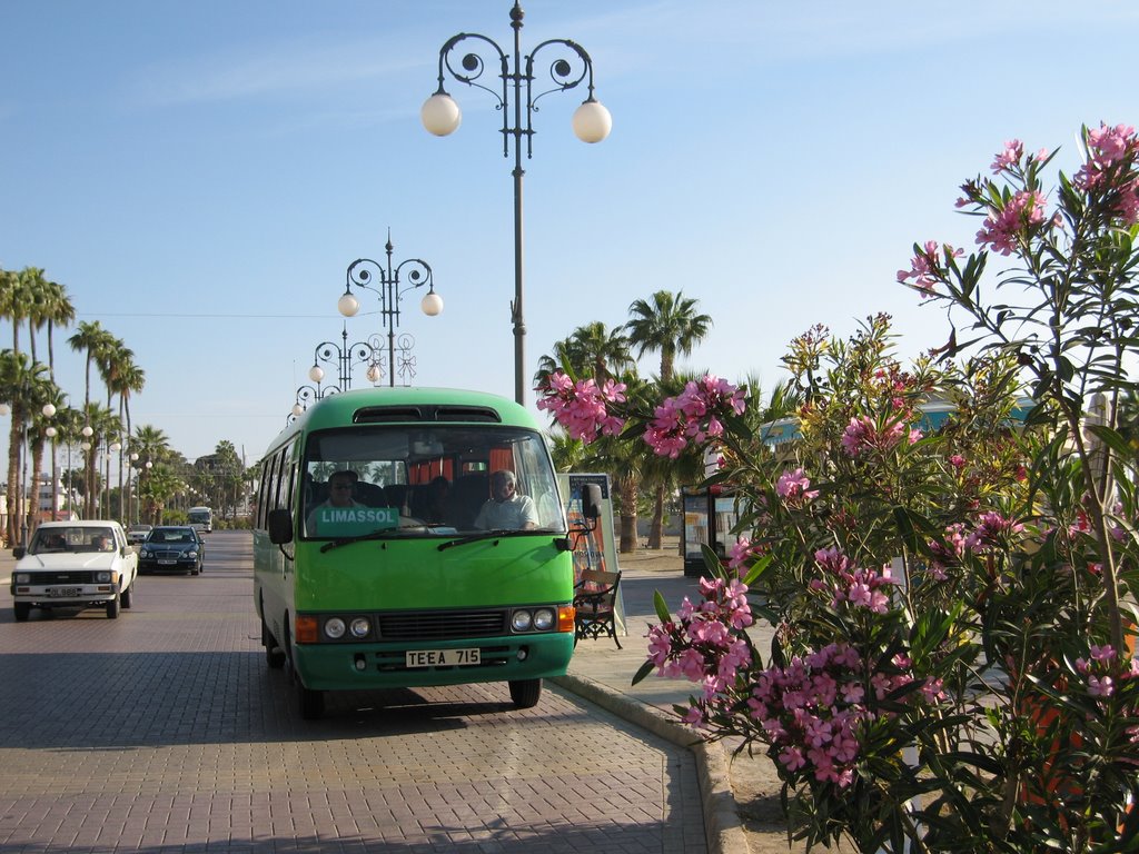 Green Bus (inter city bus) by Radu Bucuta