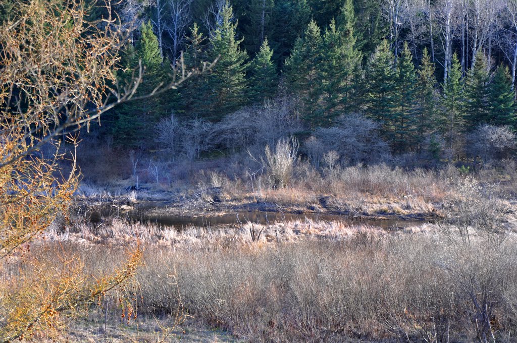 Beaver Creek State Forest, Brookfield, NY, USA by VKeith