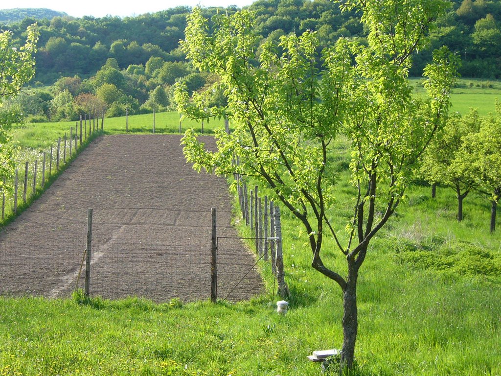 956 53 Čierna Lehota, Slovakia by -DF-