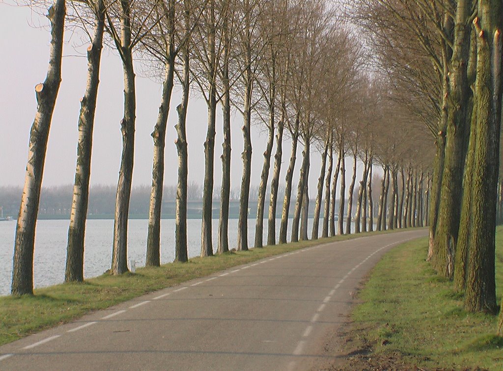 Heemsteedse Kanaaldijk (nabij Houten, Ut.) by Jan de Bloois