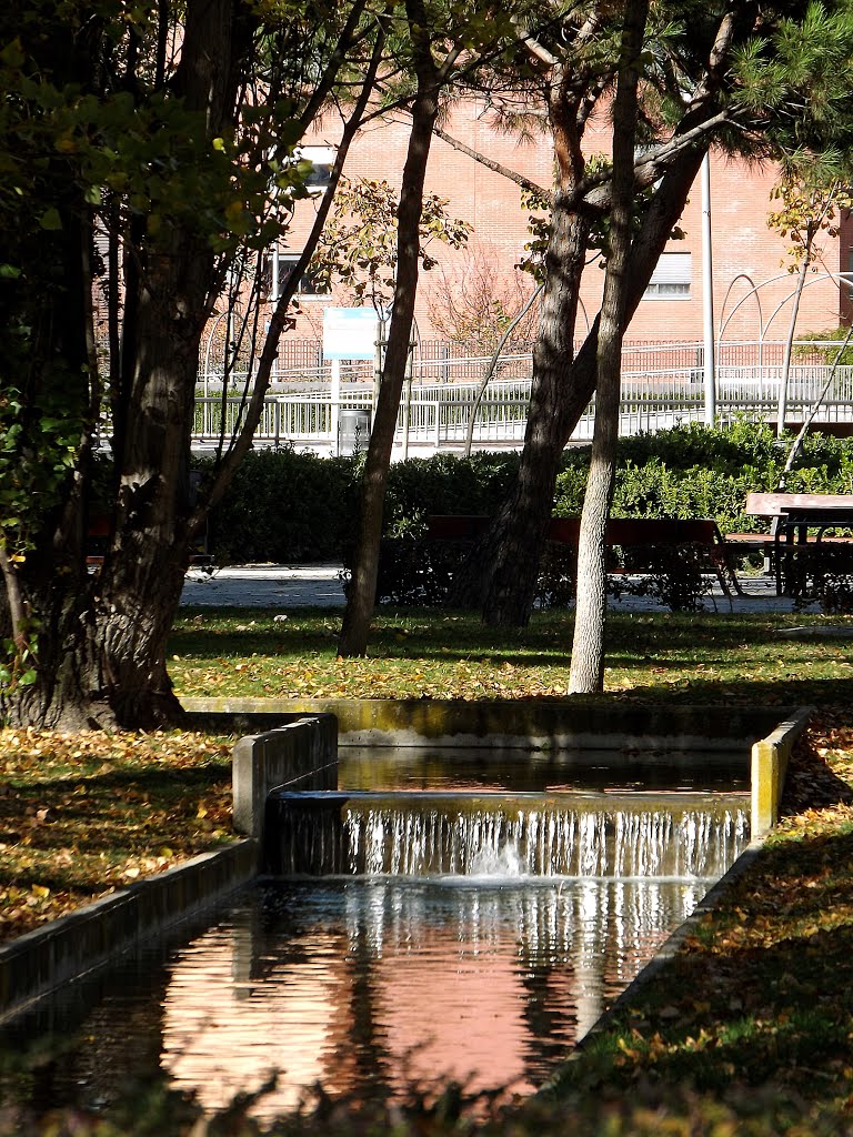 Parque de la Solidaridad by serfuen