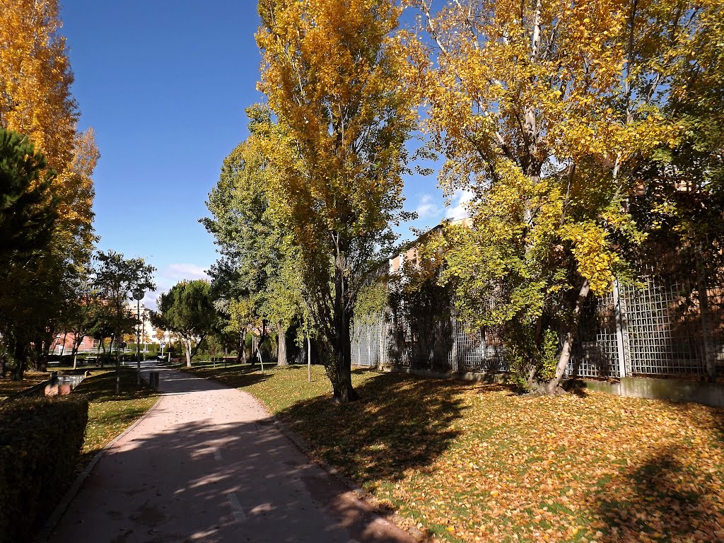 Parque de la Solidaridad en otoño, hojas caídas by serfuen