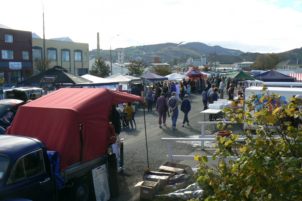 Dunedin Organic Market by festivalkult.de