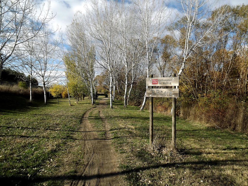 Ribera del Arroyo de la Recomba y caminos by serfuen