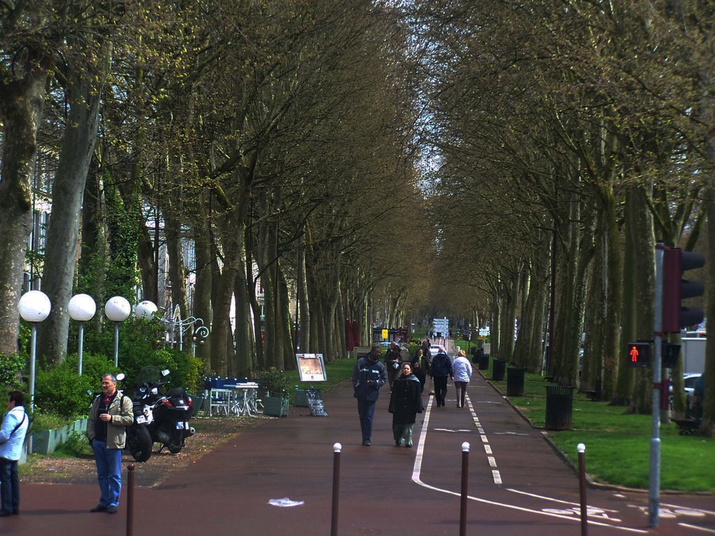 Avenue de Saint-Cloud Versailles by Juliet Cullen