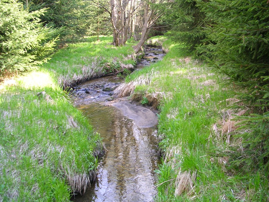 ŠUMAVA by bob08