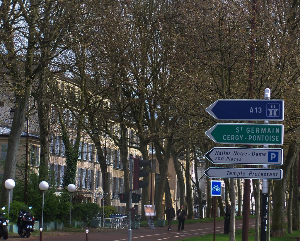 Avenue de Saint-Cloud versailles by Juliet Cullen