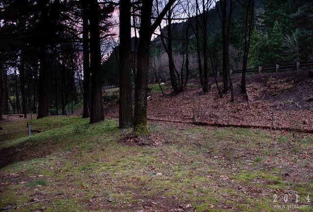 Likely HCRH, Dug Out by Campsites, Buried by Freeway (2014) by A. F. Litt