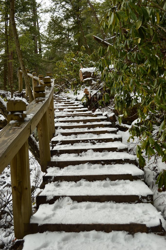 Swallow Falls Canyon Trail by Chris Sanfino