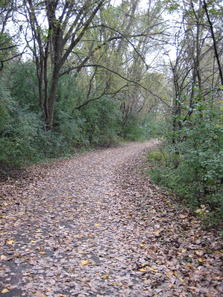 Trail to VIlla Park Pond by praxum