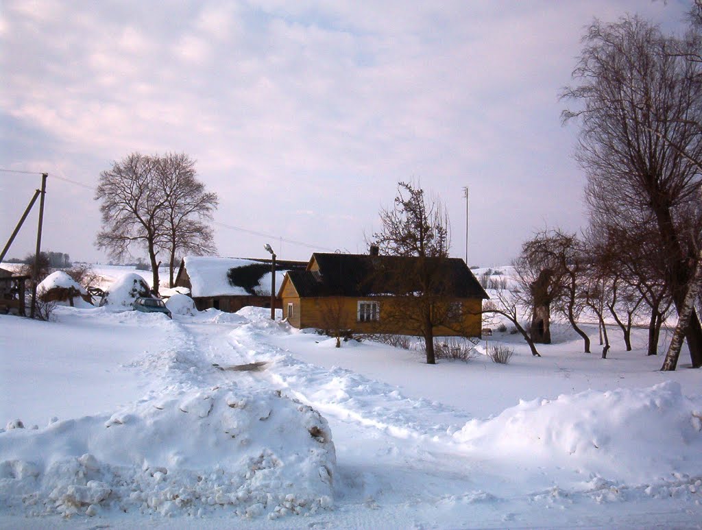 Bauernhaus im Winter, Litauen by Kurt Delikurtev